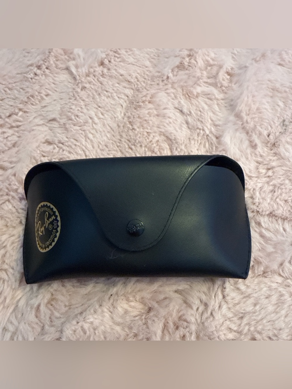 Ray-Ban Black Sunglasses Case